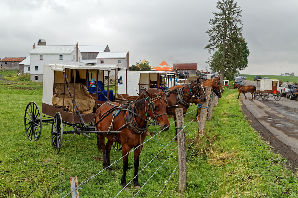 The Nebraska Amish