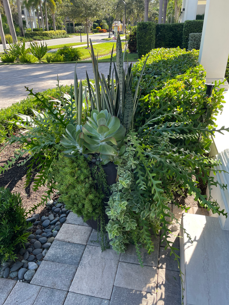 Naples FL, Flower pots near me, Naples gardening, flower pots near me, Naples gardener