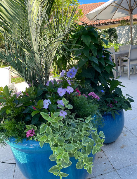 Naples gardening, flower pots near me, Naples gardener