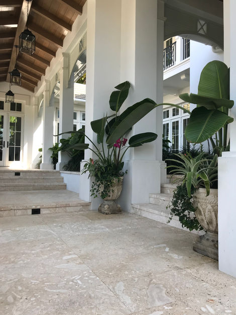 Orchids, Flower pots near me, Naples Flower Gardening, Garden Pots, Garden Pots near me, Garden Services,Gardener, Florist near me, Moorings Flower pots, Coquina Sands Flower Pots,Park Shore Flower Pots, G Flower Pots, Port Royal Flower Pots, Naples, FL Garden Service Near me, Flower Pots, Garden pots near me