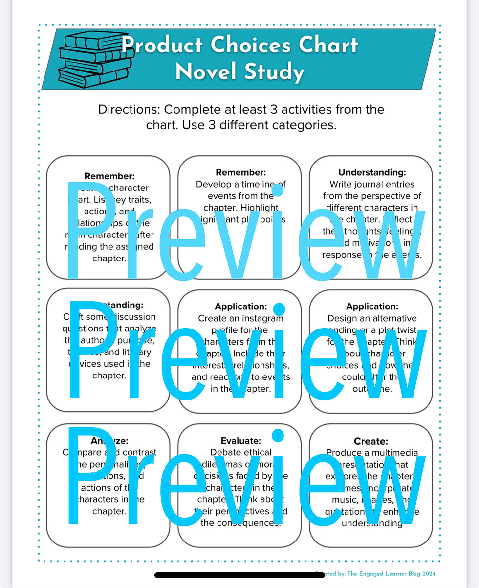 Novel Study- Product Choices Chart