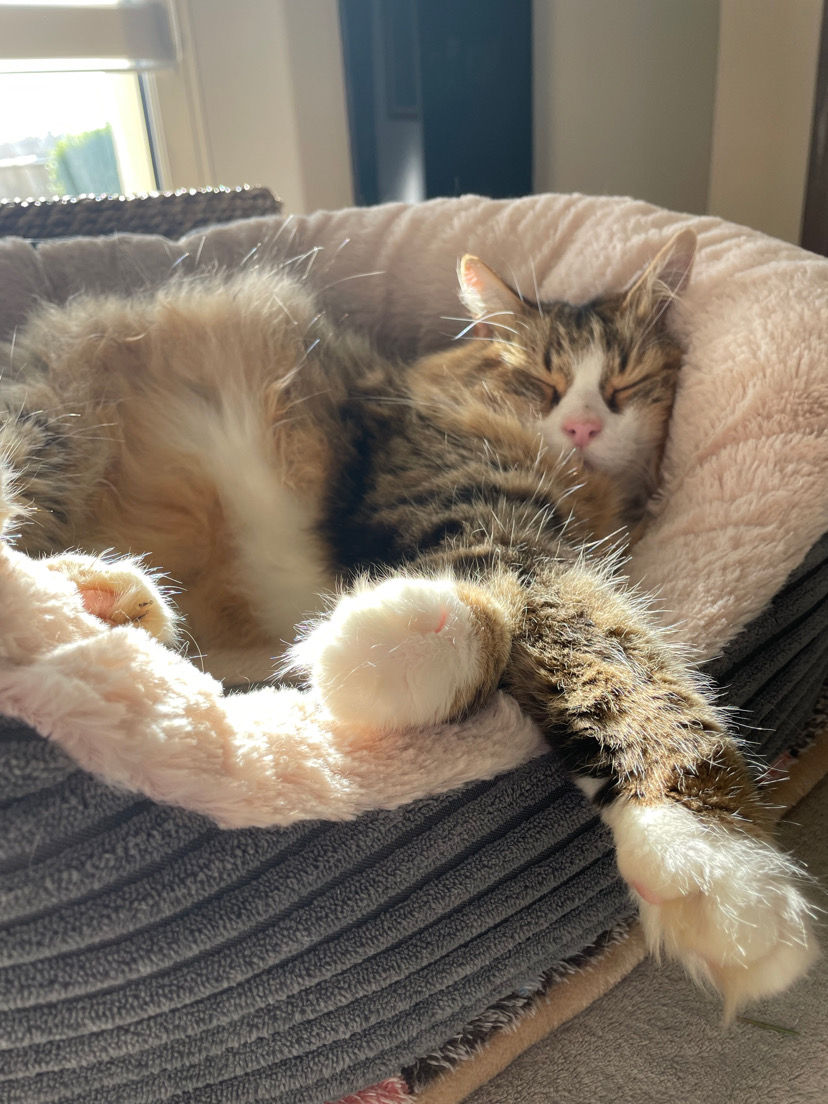SHAKA