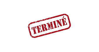 terminé-1140x597_edited_edited.png