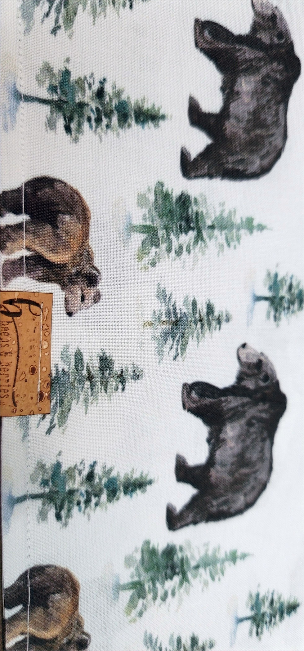 Thumbnail: Bears
