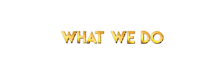 What We Do.png