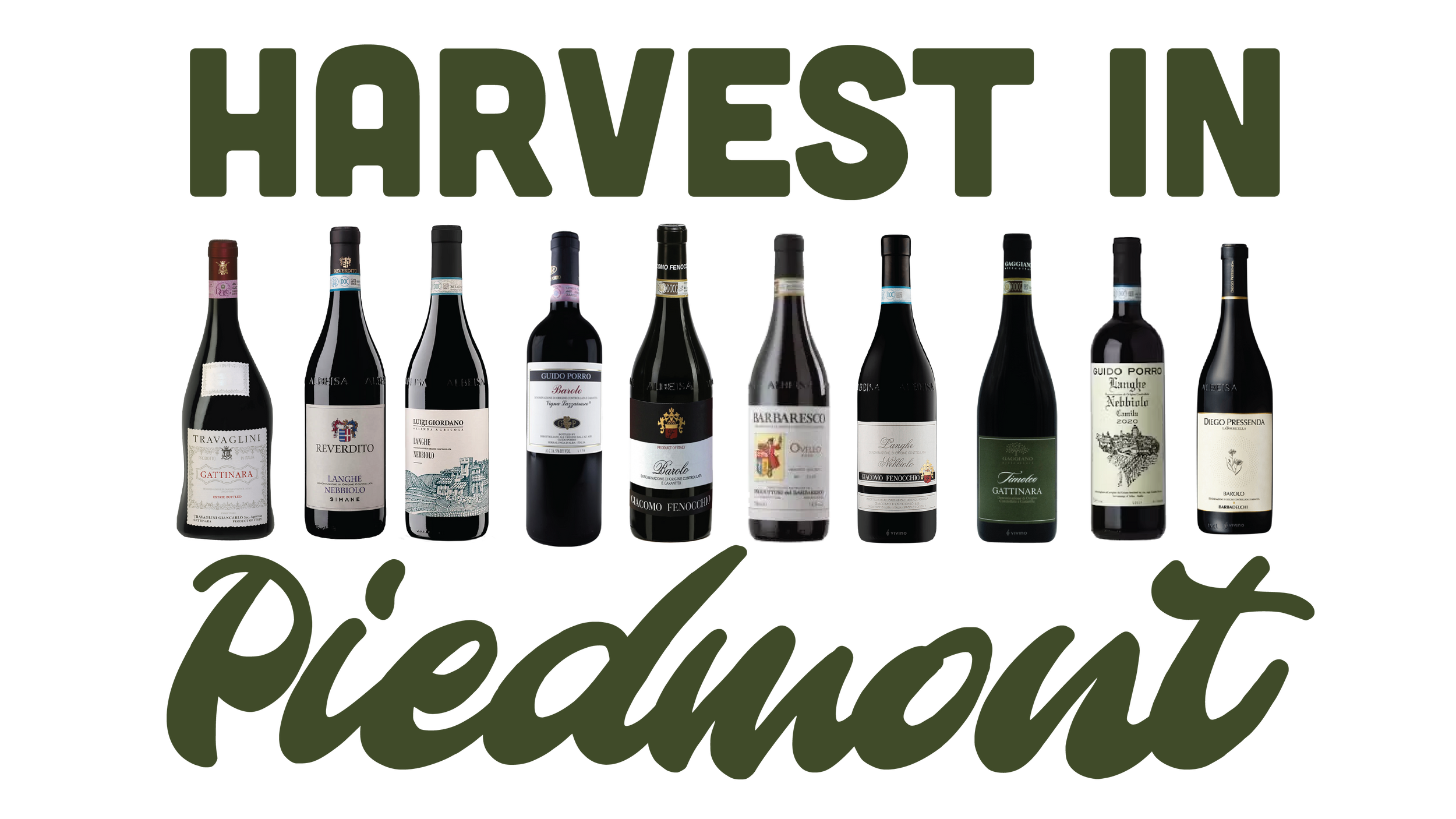 Harvest in Piedmont Wines Alpino Detroit