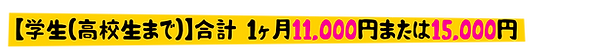 1ヶ月11000または15000.png