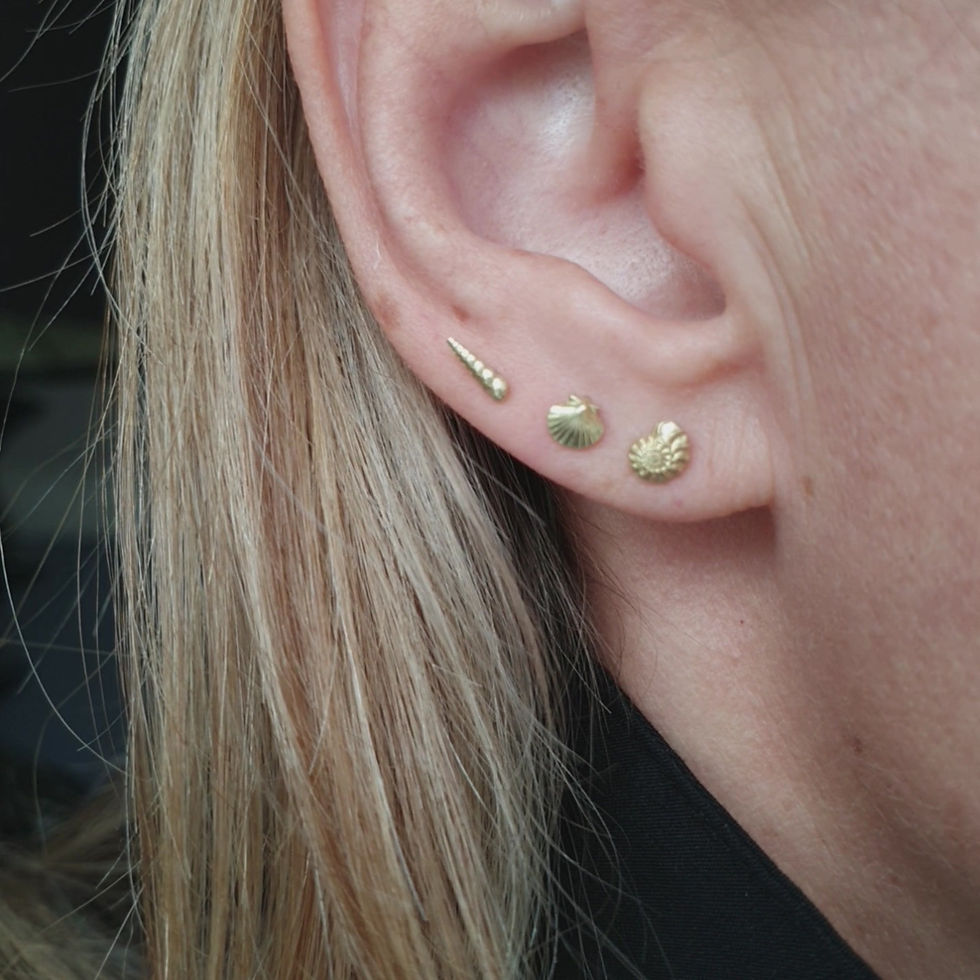 Thumbnail: solid gold seashell and ammonite stud earrings