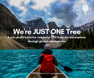 Carbon Offsetting Shopify eCommerce
