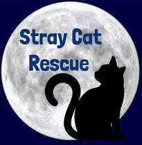 Strat Cat Rescue Charity Logo