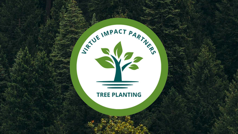 Plant Trees for Green Friday