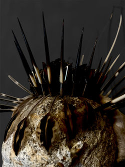 Photoroom_20250222_171219