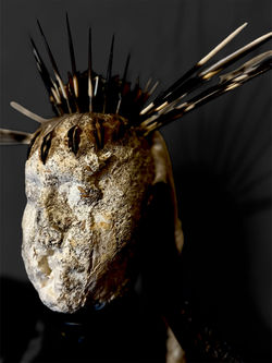 Photoroom_20250222_171133