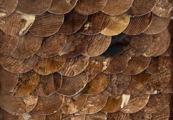 external-file_edited