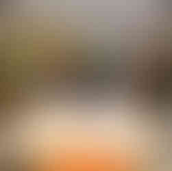 At the Sustainable Singapore Gallery, students conducted joint fieldwork with NUS BnS JSS participan