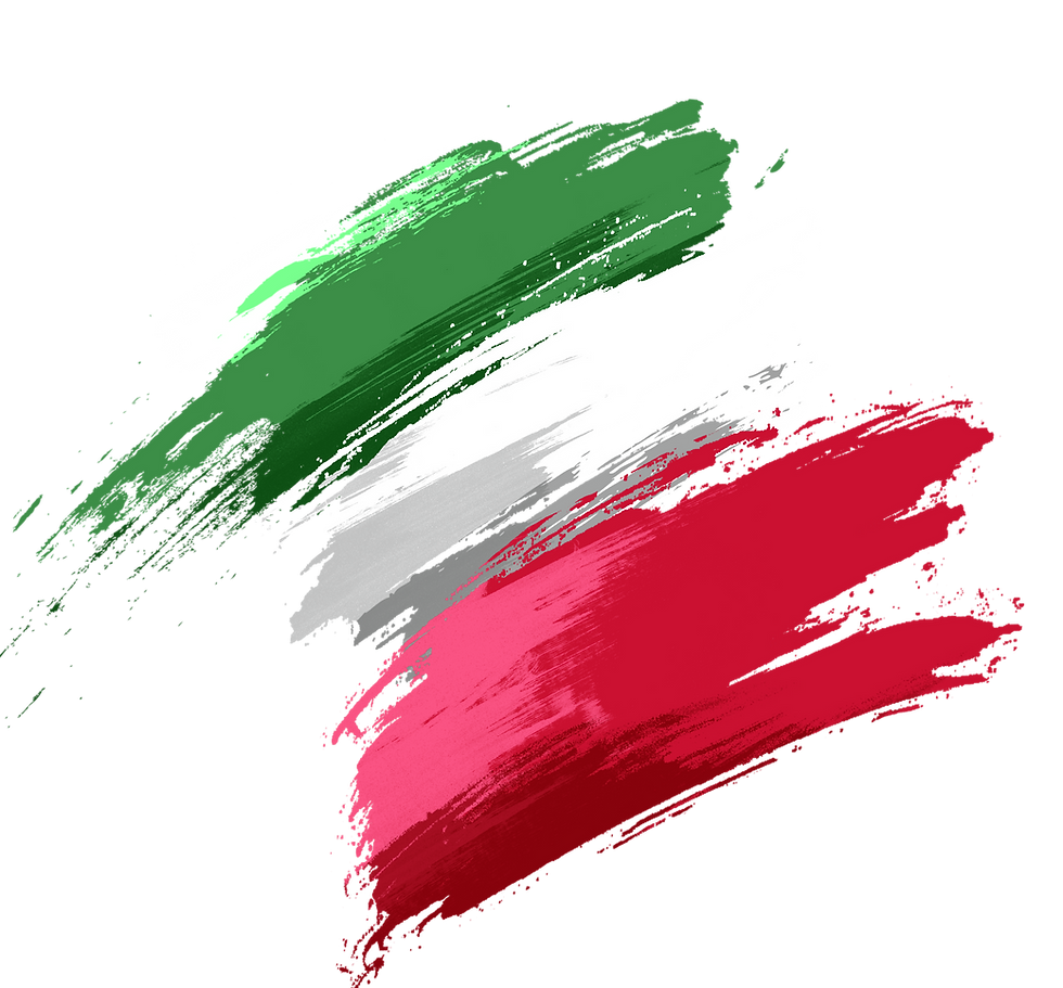 ITALIAN FLAG.png