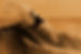 __CP6865.jpg