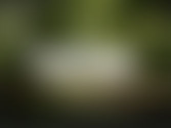 Few Things of Note #29