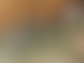 Few Things of Note #19