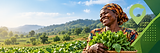 Sunlit Harvest with a Joyful Farmer.png