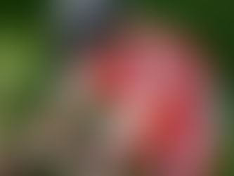 Viel und finanzielle Unterstützung - Danke!