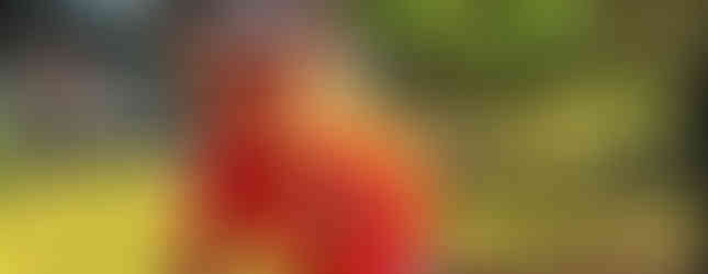 📷 Rieke Möllering | Wheel Divas Time Trail