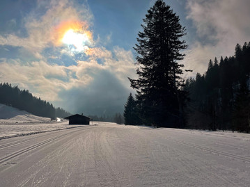 Simply Raw | Ernährung | Wheel Divas Trainingslager Rad-Bundesliga Radsport Verein Berlin Frauenradsport | Zweirrad Center Stadler Berlin | Janina Bender