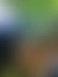 Wheel Divas | Frauenradsport | SPORT.LAND.NÖ WOMENS TOUR 2022  | UCI Rundfahrt | Giro | Radsportverein | Berlin | Radsportteam | Frauenradsporteam | women's cycling