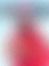 Janina Bender | Simply Raw | Ernährung | Wheel Divas Trainingslager Rad-Bundesliga Radsport Verein Berlin Frauenradsport | Zweirrad Center Stadler Berlin