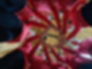 20241109_175010.jpg