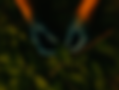 62DE22B6-3CC5-4164-BE2B-FE84D018D8A9_edited_edited_edited.png