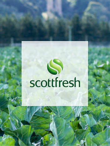 ScoffFresh