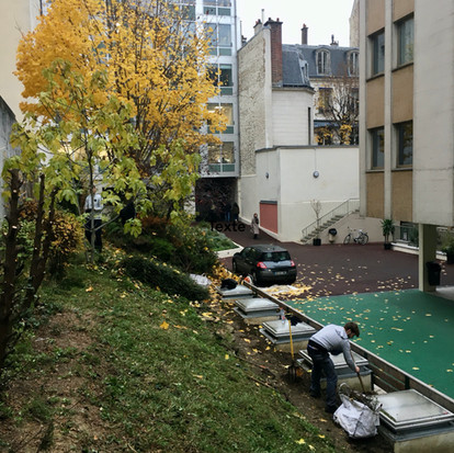 IMG_4530.jpeg