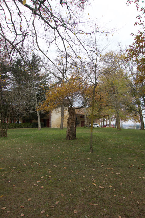 DSC09148.jpeg