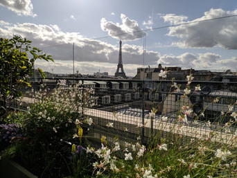 Mettre en scène les vues sur Paris