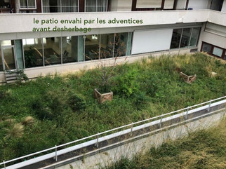 un patio laissé à l'abandon
