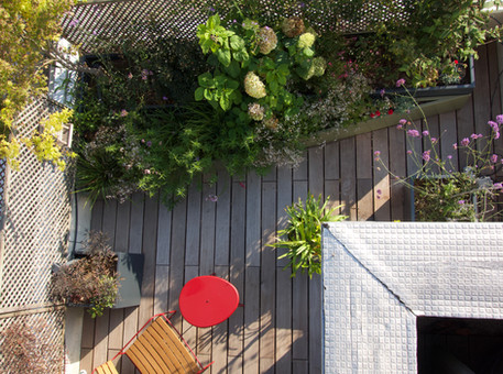 Malgré la chaleur de cet été, la terrasse s'est bien eveloppée en 3 mois. Un choix gagant pour les végétaux