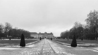 IMG_7506.jpeg