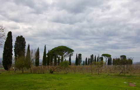 DSC09237.jpeg