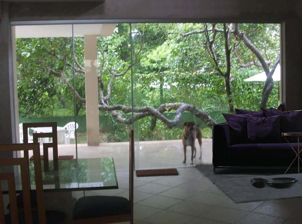 Condominio Vida Marina/Busca Vida