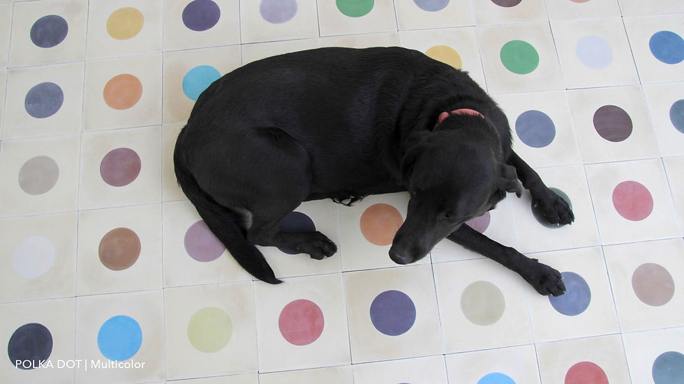Thumbnail: Polka Dot