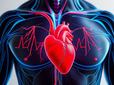 Study on Better Circulation and Vascular Health with EBOO