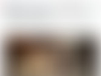 Velky clanek na idnes.cz