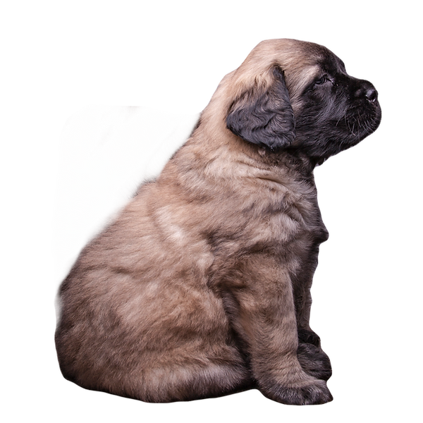20151209-_MG_5867_edited.png