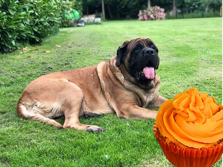 "Happy" Birthday