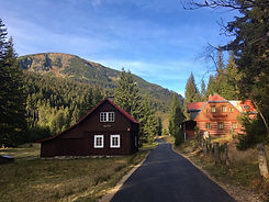 IMG-2542.jpg