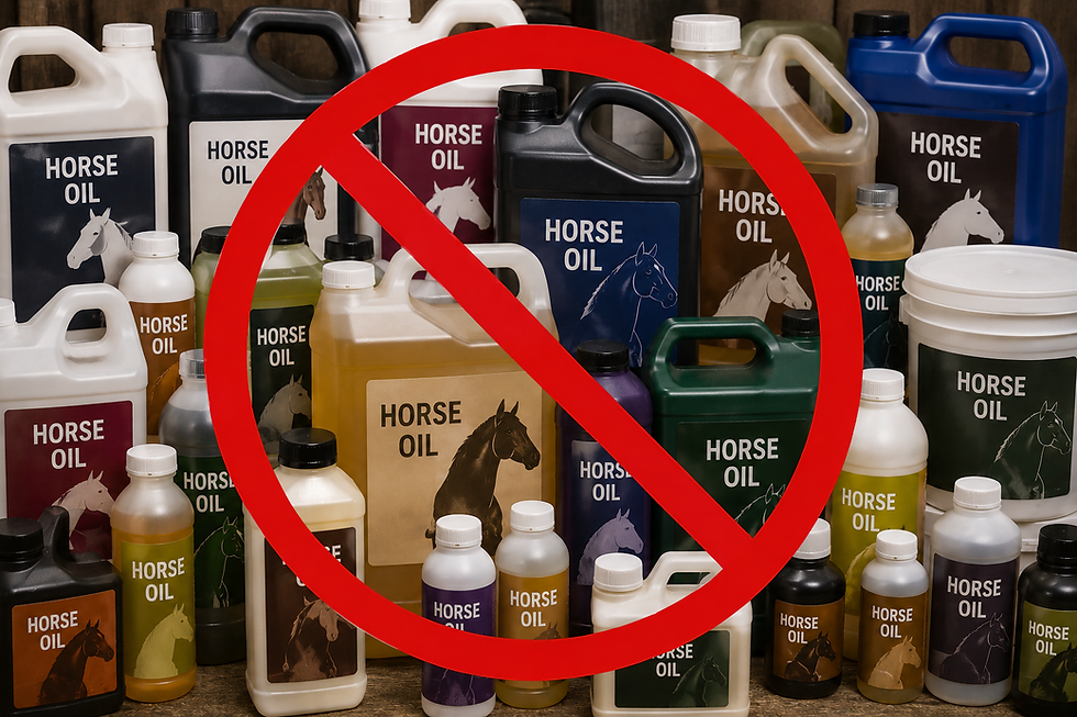 Fat/OIls in a mares diet