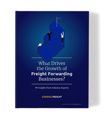 Book_Cover_eBook copy lighter (1).png