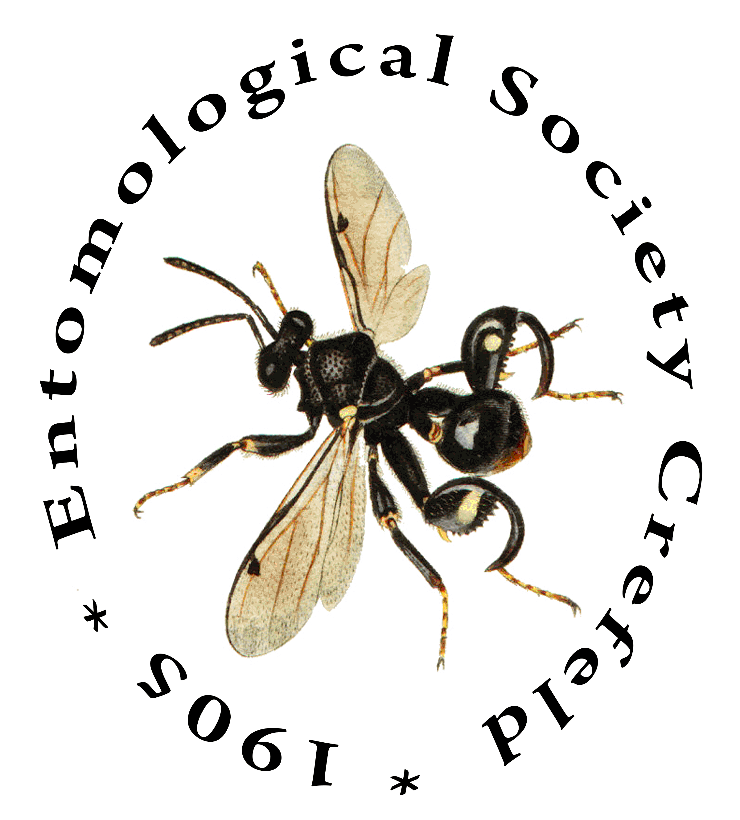 evk-logo.gif