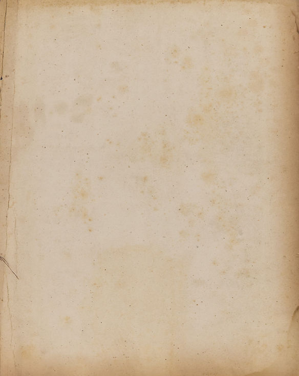 Old parchment paper_edited.jpg